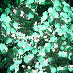 EcoStardust Green Pixie Biodegradable Glitter - EcoStardust